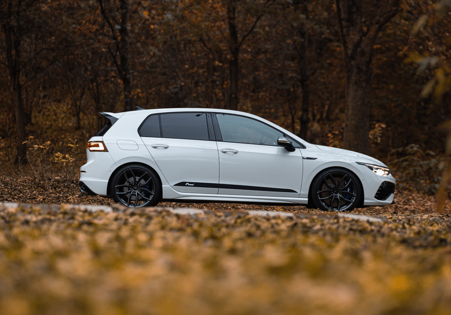 Racingline Sport Lowering Springs VW Golf Mk8 R (Hatch) – VWR31G80R